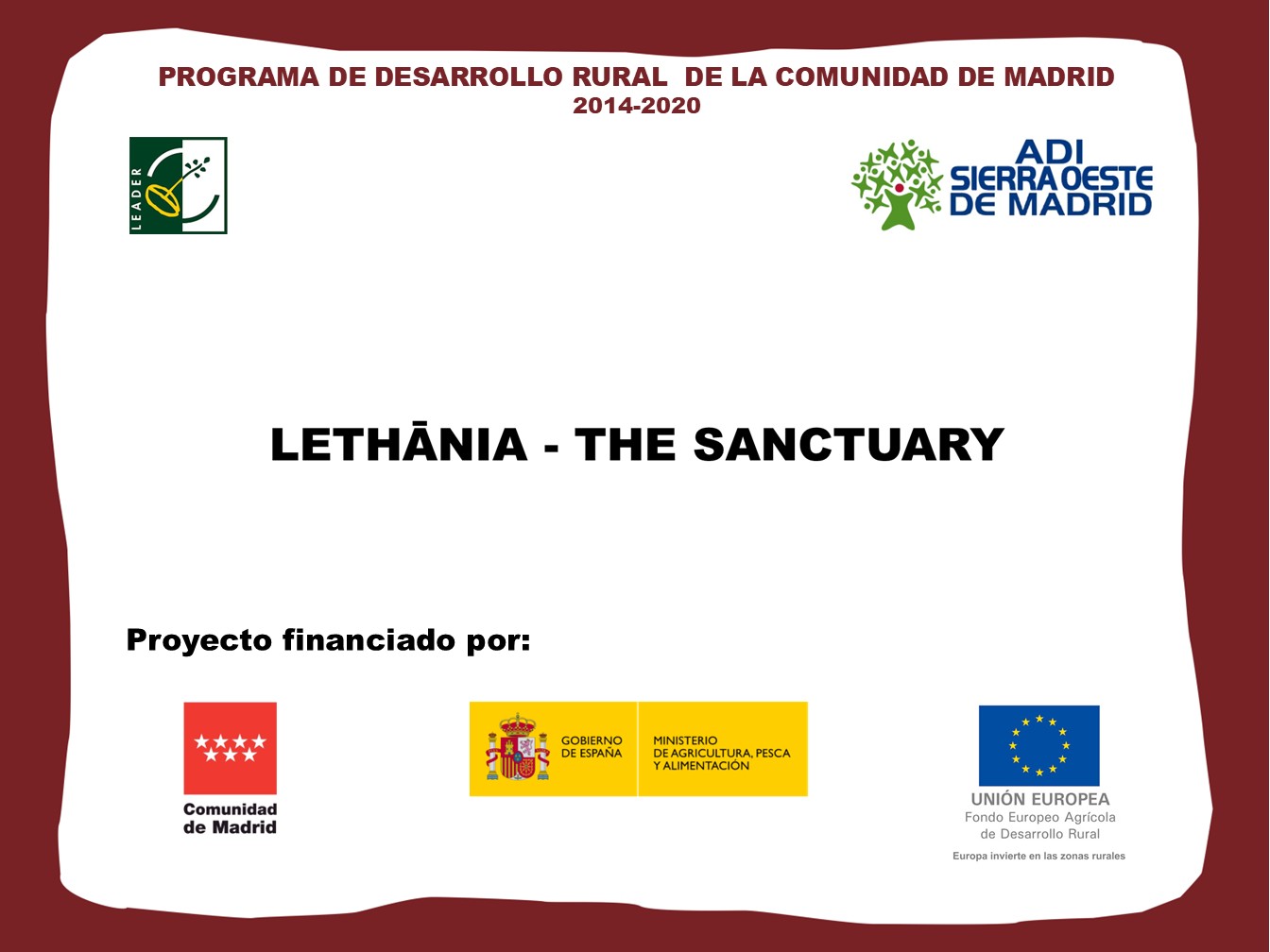 programa de desarrollo
